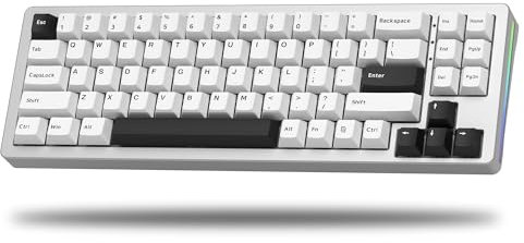 LQXQ SK71 68% Mechanische Tastatur, Bluetooth 5.0/2.4GHz Wireless/USB-C Kabel, Gaming-Tastatur All-Aluminium CNC, Hot-Swappable, RGB 14 für Mac/Win, Silber