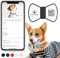 PawView QR Code Dog Tags UK with NFC - Black Bow Tie Dog Tag for Lost Pet Recovery - Waterproof Silicone, No GPS Needed, Free App