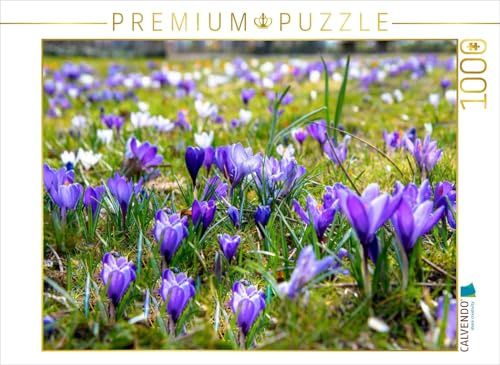 CALVENDO Puzzle Krokusse im Park | 1000 Teile Lege-Größe 64 x 48 cm Foto-Puzzle für glückliche Stunden