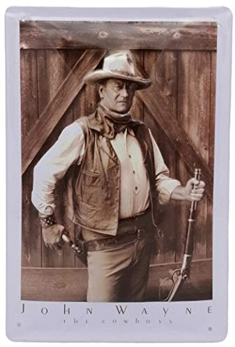 Retro Cowboy Blechschild passend für John Wayne Fans, Deko Schild, 20 x 30 cm
