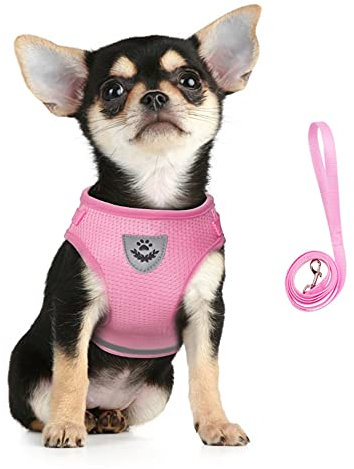 FEimaX Dog Harness and Leash Set, No Pull Adjustable Soft Mesh Puppy Harness for Walking Escape Proof Kitten Step-in Breathable Reflective Vest For Small Dogs Cats