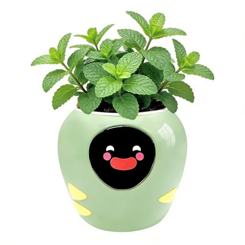 OUSEITECH Smart Pet Blumentopfs, Intelligenter Pflanzassistent, Verschiedene Pflanzendatenpflege, ¨¹berwachung Von Feuchtigkeit/Boden/Licht/Temperatur
