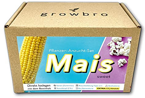 growbro Mais Anzuchtset | Garten Entdecker Set, Forscher Kinder, Natur entdecken, Geschenk für Kinder, Kindergeburtstag
