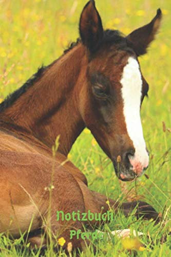 Notizbuch Pferde: Tagebuch, Notizbuch mit E-Mail, Telefon und Geburtstagsliste für Schule, Hobby und Freizeit.