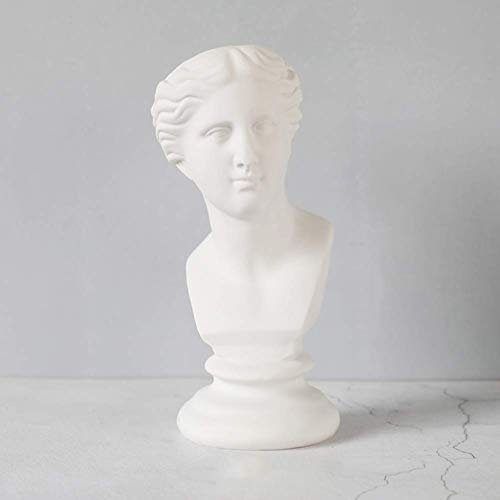 WLVG Große Kopfstatue, Köpfe Pflanzgefäß Harz Figur Kopf und Büste Skulptur Figur Ornament Pflanzgefäß Vase Garten Wohnkultur Venus A 12x28cm