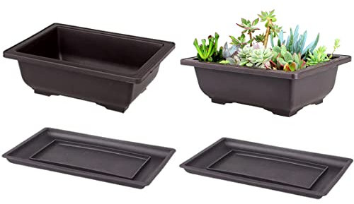 FHEDE 2 Stück klein Bonsai Trainingstöpfe mit Tablett, Gemüse Tomate Quadratischer Topfpflanzen,Pflanztopf Sukkulenten Bonsai-Topfpflanzen für Büro,Wohnzimmer und Garten,Schwarz,16x12x6cm
