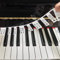 AIEX Removable Piano Keyboard Note Labels, Piano Key Music Notes Letter Label for Beginner Made of Silicone, Fits Study 88-key Full-Size Reusable Comes with Box (Classic Piano Color) (B22163)