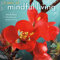 A Year of Mindful Living 2024 Calendar: Mindfulness Reveals Our Options to Us