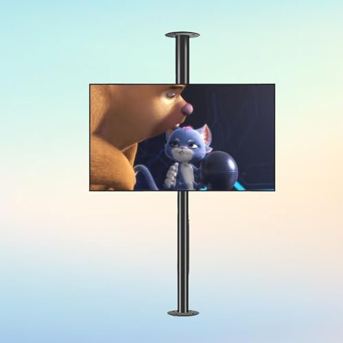 TV Floor Stand - 360 Degree Rotating Stand Partition Wall Rotating Rack, Adjustable Tilt Swivel TV Ceiling Mount, Fits 32-75inch LED Screen(60-85cm)