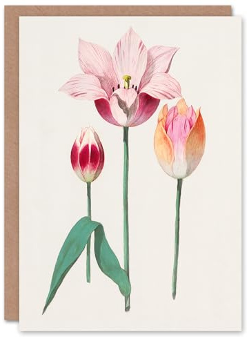 Artery8 Anselmus de Boodt Art Card Blooming Tulip Flower Illustration