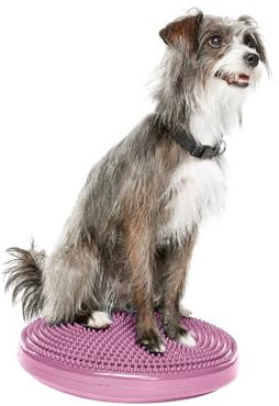 Fitpaws Balance-Disc für Hunde, 14, Violett