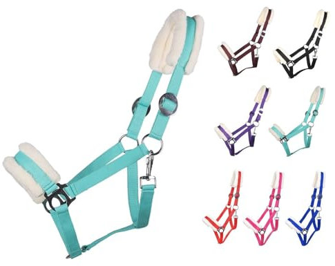 NETPROSHOP Solides Pferdehalfter gepolstert und verstellbar Gr. Mini Shetty bis Full u Kaltblut, Groesse:Mini Shetty, Farbe:Tuerkis