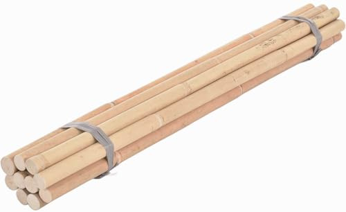 Korb-Outlet Rattanstöcke ungeschält/Rattan-Stange Manau Set Escrima/Übungs-Stöcke Arnis Kampfsport (10, Ø ca 22mm / 68cm lang)