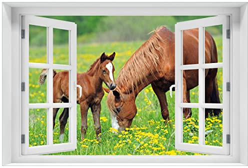 Wallario selbstklebendes Poster - Pferde auf der Koppel, Aufkleber in Premiumqualität, Klebefolie Größe: 61 x 91,5 cm mit Fenster-Illusion (Maxiposter)