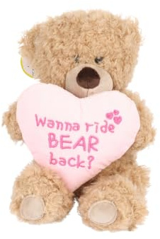Cheeky Plush Teddy Bear 20cm – Hilarious Valentine's or B'day Gift! Soft Cuddly Bear Holding Heart or Star with Rude Sassy Message – Funny Gift for Boyfriend Girlfriend or Bestie (Bear Back)