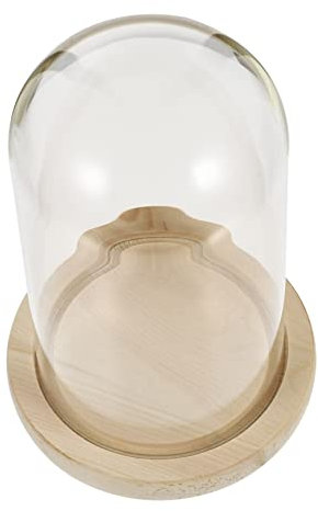 Cabilock Ewige Blumenabdeckung Glaskuppel-display Pflanzenschale Aus Glas Konservierte Blumenabdeckung Holzsockel