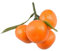 Cnrfeoap Künstliche Mandarinenfrucht Simulation Mandarine Obst Fotografie Requisiten für Küche Party Dekorationen Korb Display