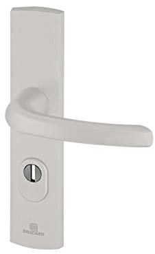 Bricard 9920171 Ensemble de Poignées Blindées sur Plaque EMUST Béquille pour Porte d’Entrée (pour Cylindre Européen), Coloris Argent