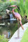 HH Home Hut Metal Heron Garden Ornament Decorative statue weather resistant metal sculpture