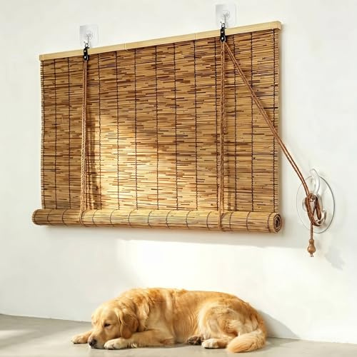 Outdoor Roller Blinds for Pergola Patio, Carbonised Bamboo Shades Summer House Garden Shade, Anti-UV Wood Venetian Blinds Alternative, Natural Reed Privacy Screen for Conservatory(40W x 250H cm)