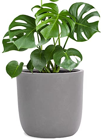 Pflanzwerk® Jardinera Fibra de Vidrio Cup Ø51cm Gris *Maceta a Prueba de heladas* *Protección UV* *Calidad Europeo*