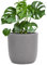 Pflanzwerk® Pflanzkübel Cup - Blumentöpfe Übertöpfe 51cm Ø GRAU *Frostbeständige Blumenkübel* *UV-Schutz* *Pflanzenkübel Premiumqualität*