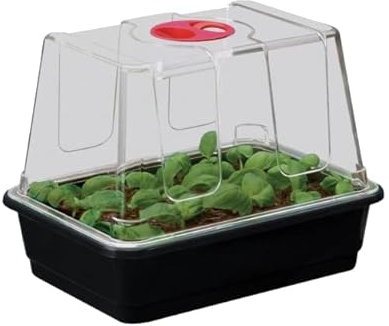 Muddy Hands High Dome Propagator Garden Greenhouse Plant Seedling Seed Germination Tray with Lid (Tray Comes Without Drainage Holes) (Small)
