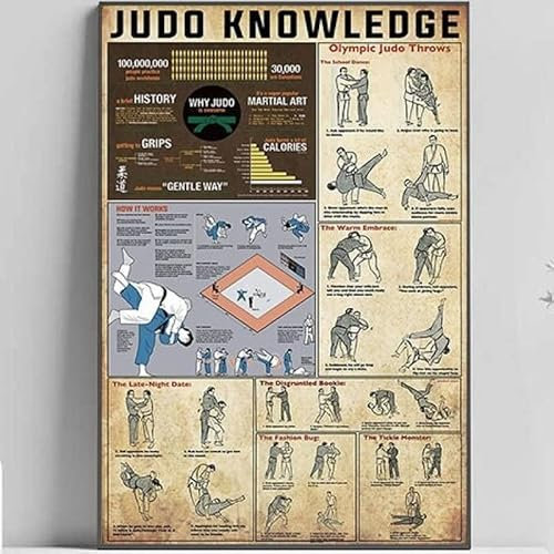 Judo Knowledge,12 * 8 Inches Vintage Funny Poster Wall Decor Art Gift Retro Picture Metal Sign