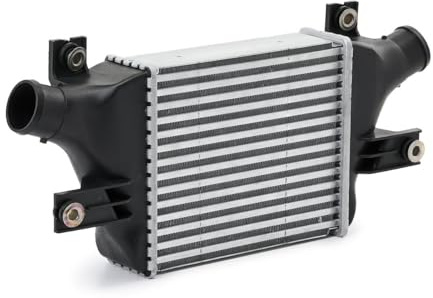 RIDEX 468I0167 Ladeluftkühler LLK passend für PEUGEOT 4008 SUV für CITROËN C4 AIRCROSS für MITSUBISHI ASX (GAW) Turbo Intercooler Netzlänge 250 mm, Netzbreite 218 mm, Netztiefe 64 mm, ohne AGR-Ventil