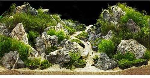 MIRRORANG 120x50cm Aquarium Hintergrund Felsen 3D Felsen Steine Gras Terrarium Hintergrund Dekoration Reptilien Tank Hintergründe