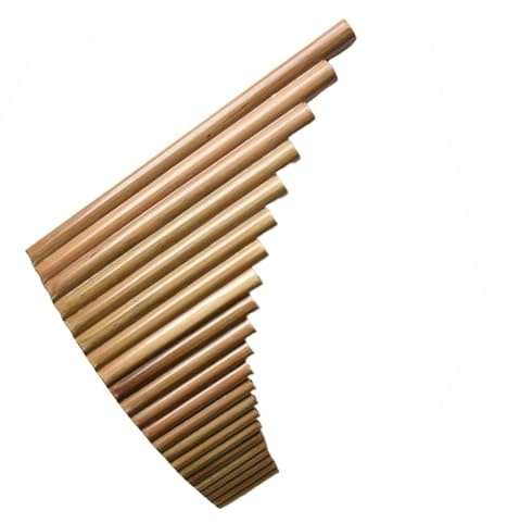 Panflöte aus Bambus 22-Rohr-Panflöte mit C-Stimmung natürlicher Bitterbambus-Panflöte-Stimmlack mit Rindsledertasche geeignet für Anfänger