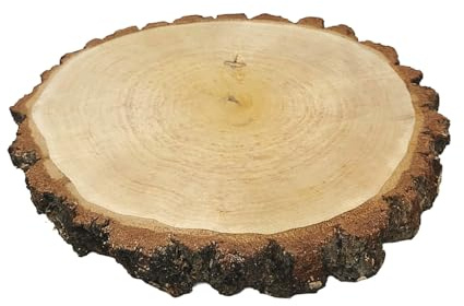Birkenscheibe rund ca. 30-35 cm (Dicke: 3 cm) Holzscheiben Birkenstamm Birken Holz Dekoration Hochzeit Baumscheiben