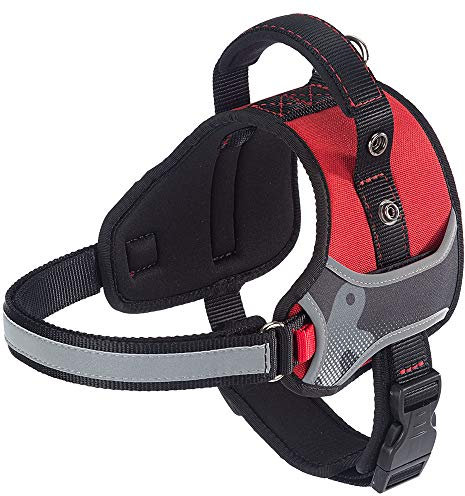 Ferplast Hundegeschirr Hercules MEDIUM, Gepolstert, Widerstandsfähig, Kratzfest, im Dunkeln Sichtbar, mit Griff