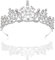 ZOOMPIL Schneespitze Kristalle Prinzessin Krone, Kristall Strass Tiara Krone, Hochzeit Diadem, Kristall Tiara Krone, für Braut Prinzessin Geburtstag Cosplay Party Hochzeit Abschlussball
