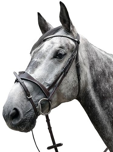 Brama West Pferde Trense Arezzo mit Strasssteinen Leder Trensenzaum, Gr. Full