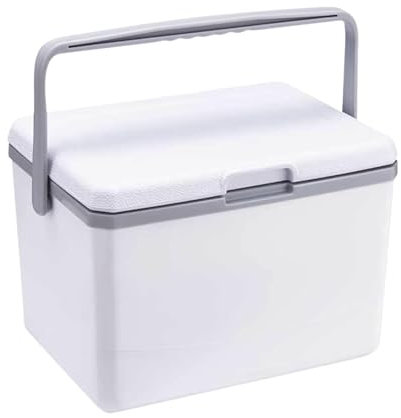 Camping Ice Chest - Ice Cooler Travel Ice Chest | Multifunctional Camping Cool Box, Portable Ice Chest Cooler, Portable Food Storage Box, Cooler Bag for Picnics, Camping, 27.9 x 21 cm