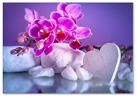 Tulup Spritzschutz Glas Küche 100x70 cm Küchenrückwand Glassplatte Küche Herd Küchenrückwand aus Echtglas Abdeckplatte - Blumen & Pflanzen - Rosa - Orchidee Herz