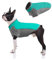 Hundepullover für kleine bis mittelgroße Hunde Mantel Polar Fleece Hundejacke Pullover Hundewinterweste mit Polo Shirt Reißverschluss Design für tägliche Spaziergänge, Training, Wandern, Reisen, S