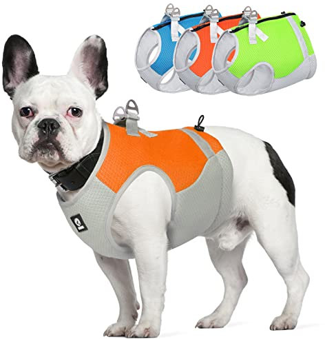 LiebeDD Kühlweste Hund Sommer Abkühlung Jacket für Hunde, Verstellbar Atmungsaktiv Hundeweste mit D-Ring Sonnenschutz Hund Warnweste Hundemantel für Kleine Mittelgroße Große Hunde, Orange, M
