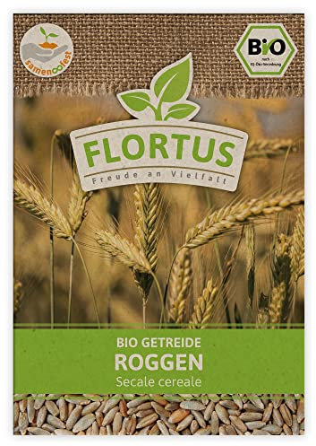 FLORTUS BIO Roggen Getreide Samen 75g | Alte Sorten Urgetreide zur Herstellung von Mehl Sauerteig Brot Roggengras & Microgreens | Sprossen Samen