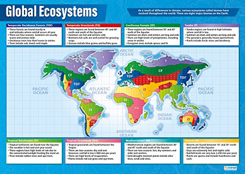 Global Ecosystems Geographie-Poster | laminiertes Hochglanzpapier mit den Maßen 850 mm x 594 mm (A1) | Geografie-Poster | Bildungstabelle von Daydream Education