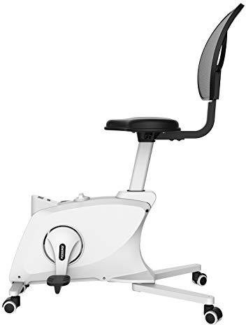 FLEXISPOT Fitnessstuhl für Heimtrainer