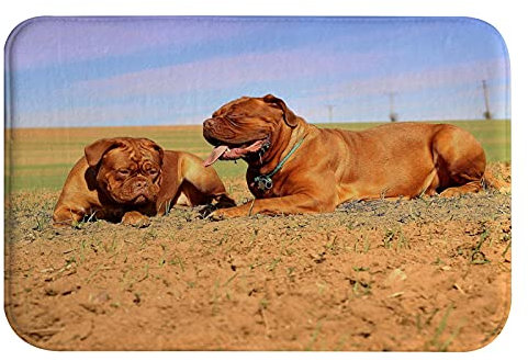 A.Monamour rutschfest Saugfähig Waschbar Badematte Zwei Bordeaux Hunde Die Auf Dem Boden Im Freien Ruhen Weich Flanell Badezimmerteppich Badteppich Badvorleger Badewanne Dusche Duschvorleger