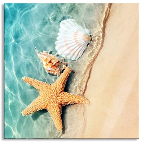 Pixxprint Glasbild, Wandbild auf Echtglas, Seestern und Muscheln am Strand, 50x50 cm, inkl. Aufhängung und Abstandshalter