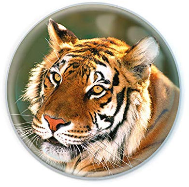 Deluxebase Magnidome - Tiger Große Katze Kristallglas Kühlschrank Magnet für Kinder. Hervorragende gewölbte Magnete für Wohndekoration und Zubehör