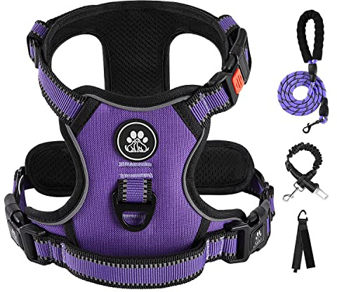 IVY&LANE No Pull Dog Harness for Medium Dogs, Dog Vest Harness with Leash, Safety Belt and Storage Strap, Fully Adjustable Harness, 360° Reflective Strip, Soft Handle (Purple, M)
