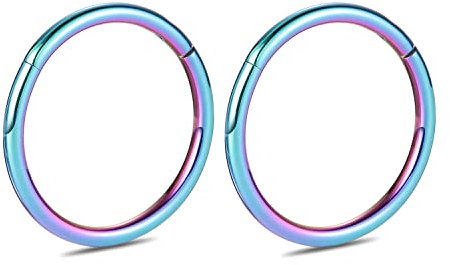 12G 2Pcs G23 Titan Nase Hoop Ring Higned Segment Clicker Ring Nahtloser Nasenring Septum Schmuck Conch Hoop Knorpel Helix Tragus Hoop Ohrringe Hoop Sleeper Piercing Schmuck 12mm Regenbogen