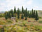 NOCH® Modelltannen, für realistische Modellbau Landschaften, 50 Stück in Größen 5-14 cm, ideal für H0 und TT