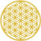 Samunshi® Lebensblume Wandtattoo Blume des Lebens Aufkleber Wandbild Blumen Wandsticker Yoga Sticker Wanddeko 80 x 80cm goldmetalleffekt