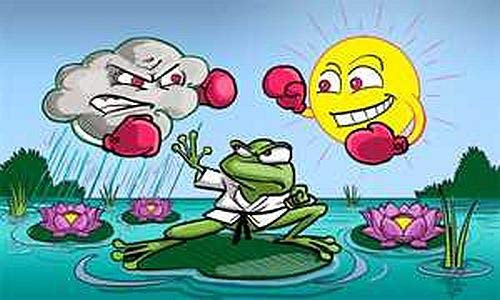 Fahne Flagge Wetterfrosch Frosch (Garten, Blumen, Sonne, Wolken, Boxer) 90x150 cm Hissfahne mit Ösen